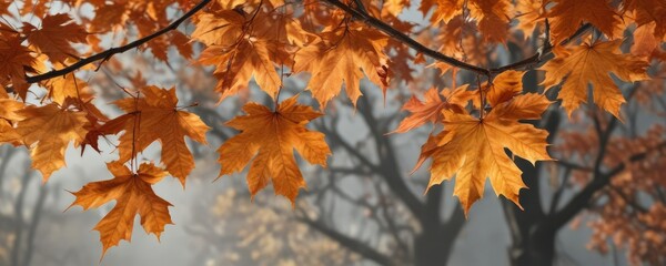 Vibrant orange maple leaves hang from a sturdy branch, swaying gently in the autumn breeze, leaf, maple