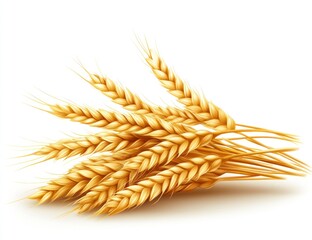 Golden wheat stalks, harvest abundance, white background, food industry