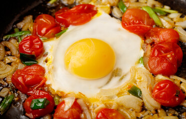 A fried egg is surrounded by tomatoes and onions