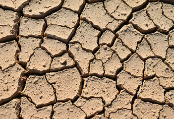 Close-up view of cracked earth, a visual representation of drought. Generative AI Background