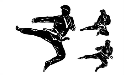 Fototapeta premium taekwondo karate martial art icon logo illustration