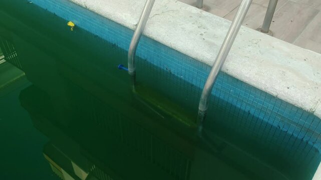 Swimming pool with dirty green water close-up.