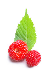 Wild strawberries red