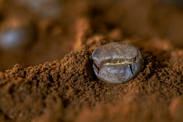 Roasted coffee beans very close-up amongst scattered ground coffee. Nice coffee colors, atmospheric...