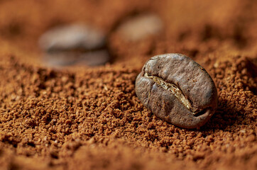 Roasted coffee beans very close-up amongst scattered ground coffee. Nice coffee colors, atmospheric...