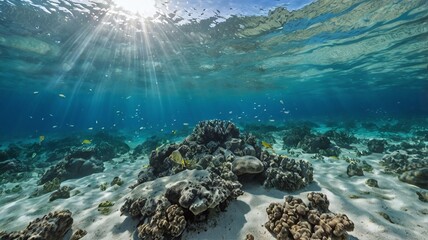 Tropical ocean with white sandy sea bottom underwater in Hawaii