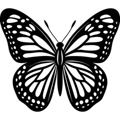 butterfly silhouette vector