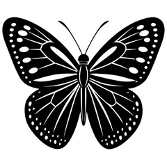 butterfly silhouette vector