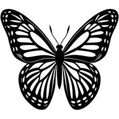 butterfly silhouette vector