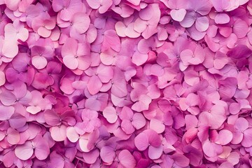 Fototapeta premium Pink Hydrangea Petals Bloom Close Up