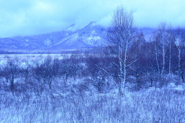 冬の戦場ヶ原
