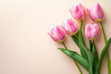 Fototapeta premium Pink tulips bouquet, pastel background, spring, greeting card