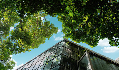 Modern glass office building with big trees around to reduce heat and carbon dioxide. Eco-friendly building. Sustainability concept