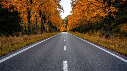 Fototapeta premium Autumnal road through golden forest. Travel photography