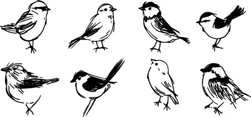 Hand-Drawn Illustrations of Small Birds
