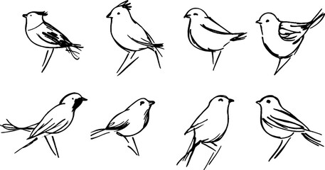 Hand-Drawn Bird Sketches Collection