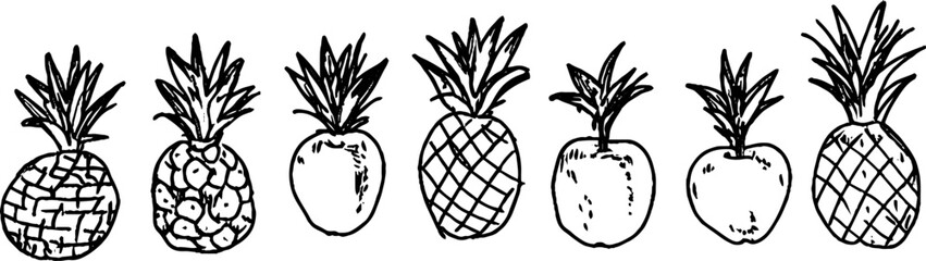 Hand-Drawn Pineapples Illustration