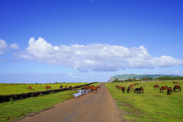 Roads of Rapa Nui, Easter Island, Chile