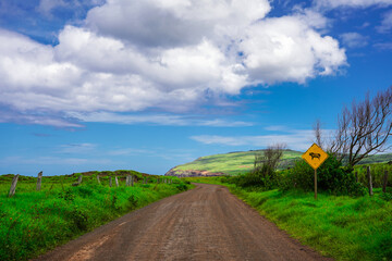 Roads of Rapa Nui, Easter Island, Chile