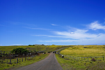 Fototapeta premium Roads of Rapa Nui, Easter Island, Chile