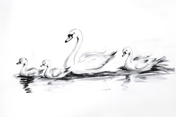 Obraz premium Ink sketch of a swan family swimming on a calm lake, creating a peaceful and natural scene