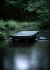 Naklejka premium Photograph of a wooden boardwalk in the middle of a small pond. the boardwalk is made of dark wood and is positioned in the center of the image.