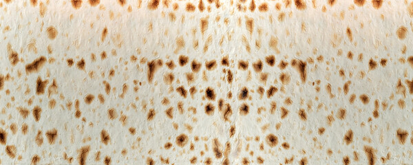 fresh sheet of armenian thin lavash, top view