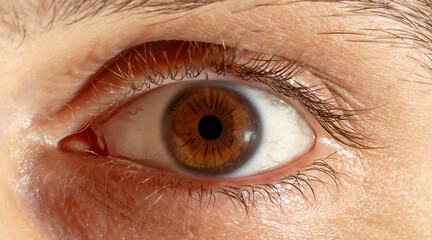 Fototapeta premium human eye close up