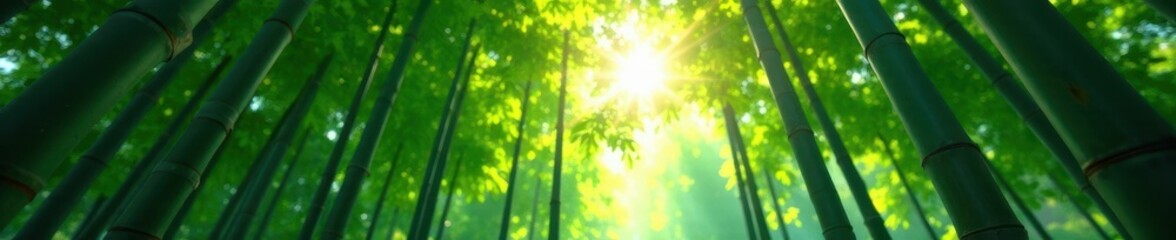 Fototapeta premium Dense bamboo canopy, shafts of light piercing leaves , forest, organic, tropical