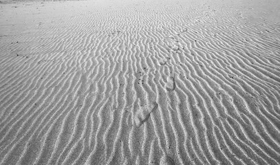 sand texture in desert or beach. background