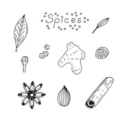 Spices sketch set, hand drawing, vector illustration