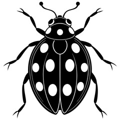 Bright Red Ladybug Crawling on Dewy Green Leaf