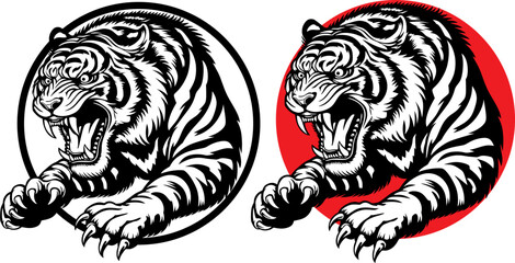 angry black and white tiger in a circle