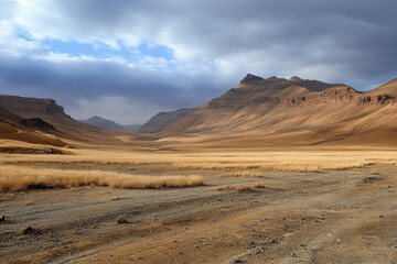 Naklejka premium Drought Disaster, Dead Trees and Dry Soil