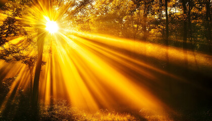 Sunbeams in autumn forest, misty morning. Nature background for serenity