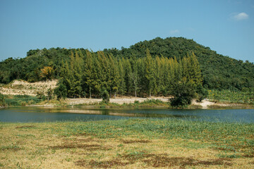 View of landscape mountain and forest at Suan Phueng, Thailand