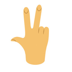 Hand Illustration
