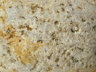 photo of the texture and pattern of a yellowish white stone