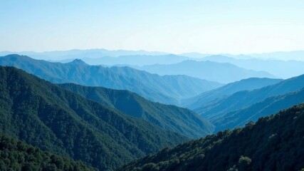 Naklejka premium view of mountains covered with trees. view from above