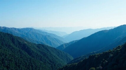 Fototapeta premium view of mountains covered with trees. view from above