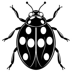 vector illustration of a ladybird