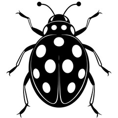 vector illustration of a ladybird