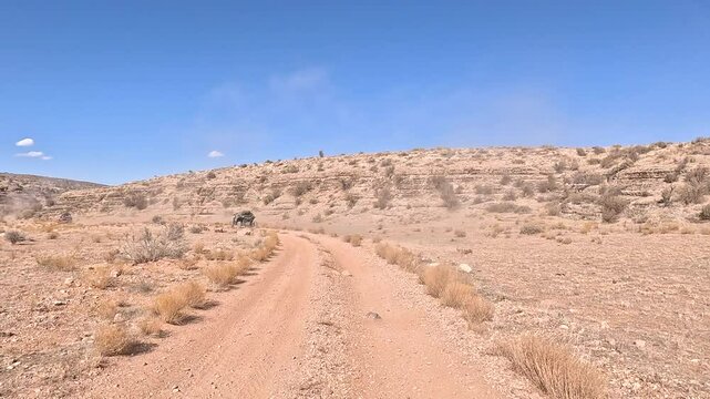 Recreation road mountain desert valley following UTV Uta. Off road trail riding in 4x4 all terrain vehicle for sport and recreation. Desert landscape, dusty trails and recreation areas. Southwest Utah