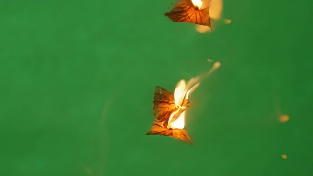 Delicate ember shards ter in the wind their brightness standing out amid the tranquility of the green. Green screen chromakey