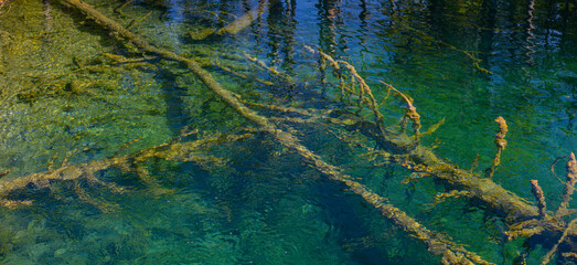 Waterfalls in the forest flowing into lakes. Tourists visit famous Plitvice park in Croatia. Mountain streams with clear water. Waterfalls of Plitvice Lakes on a summer day.