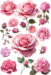 Naklejka premium Valentine's Day Pink Rose