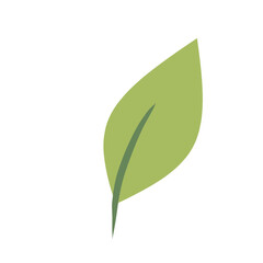 Green Leaf