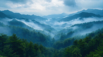 Naklejka premium Misty and Mysterious Mountain Landscape