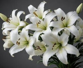 Fototapeta premium White lilies with black ribbon symbolize grief and loss on grey backdrop, symbol of purity, emotional connection, condolences