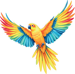 Obraz premium Colorful parrot flying with wide open wings